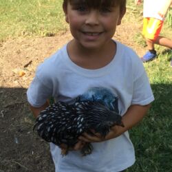 "My Pet Made My Breakfast" Camp