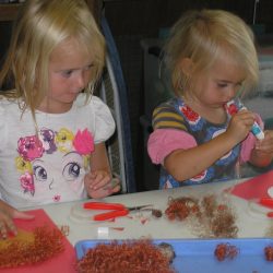 Princess Birthday Party